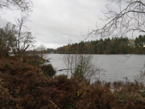 Colemere View 2