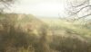 View from Bulkeley Hill over misty Cheshire