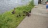 Perhaps they will provide lunch later