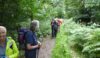 in the wood