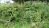 This stile was considered too dangerous to climb down