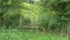 A stile on its last legs. It's Staffordshire
