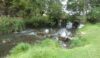 River Dove in Wolfscote Dale