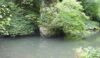 An outcrop in the River Dove reminiscent of Thailand