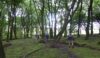 Through the woods that grew up after the miners churned the earth