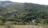 Coffee stop overlooking the River Wye
