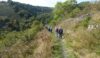 Downhill to the river