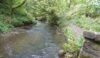 The river ignores the walkers