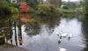 A duck house without an MP in sight