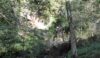 The River Dane flows through another chasm