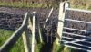 Open the gate by moving the bar to the side. The dangling chains in theory deter animals from passing through.