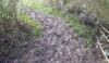 Just one of the slippery, slidy mud slopes