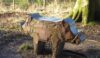 A tinned wild boar explaining the Sandstone Trail