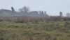 The Old Man and the folly in Mow Cop