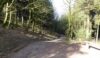 In the forest after climbing the hill