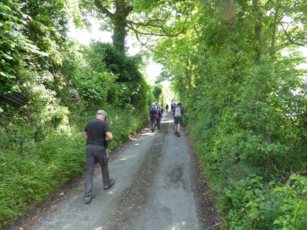 Climbing to the Offa's Dyke Path