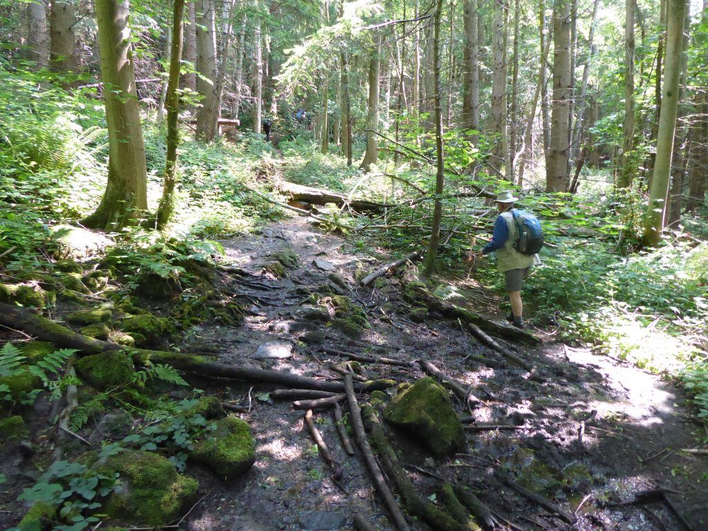 There is still some mud in the forest