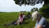 Some concern is expressed as uninvited guests join the picnic