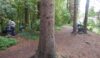 The walkers scatter in the wood for coffee