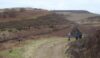 The road down from the boggy wilderness