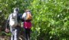 Fighting through the shrubbery