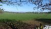 Cheddleton left behind
