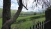 Thorpe Cloud looms in the distance from Ilam