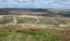 Winter Hill Flats with its newly scooped ponds