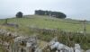 One of the calf-gripping stone stiles that abound the area