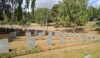 The German cemetery has lower growing shrubs. It's easier to maintain