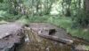 Sher Brook waiting for paddlers