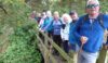 With better planning, the small walkers would be at the front